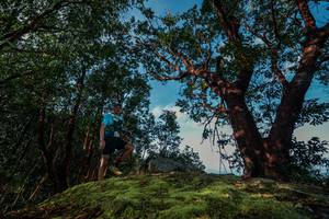 BIB: 
                            <button type="button" onclick="openModal(28599616)" class="btn btn-primary btn-sm float-right btn-popup" data-toggle="modal" data-target=".modal-high-quality">
                        <i class="fas fa-shopping-cart"></i> Add to Cart
                    </button>
                                            <button type="button" onclick="isThisMe(28599616, true)" class="btn btn-success btn-sm float-right btn-popup btn-isme hidden" data-toggle="tooltip" data-placement="bottom" title="นี่คือรูปของคุณใช่ไหม คลิกที่นี่เพื่อเอาเข้าอัลบั้ม">
                        <i class="fas fa-plus"></i> Add to album
                    </button>
                    <button type="button" onclick="isThisMe(28599616, false)" class="btn btn-warning btn-sm float-right btn-popup btn-isnotme hidden">
                        <i class="fas fa-ban"></i> Remove from album
                    </button>